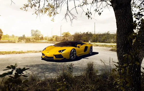 Обои Roadster, Lamborghini, Vorsteiner, Yellow, Aventador, LP700-4, Supercar, Front
