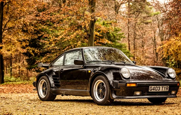 Обои 1989, 930, Coupe, Limited Edition, порше, 911, Porsche, Turbo
