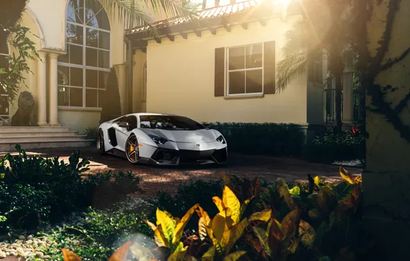 Обои Lamborghini, Front, Sun, White, Matte, Tuning, LP700-4, Aventador, Supercar, Wheels, ADV.1