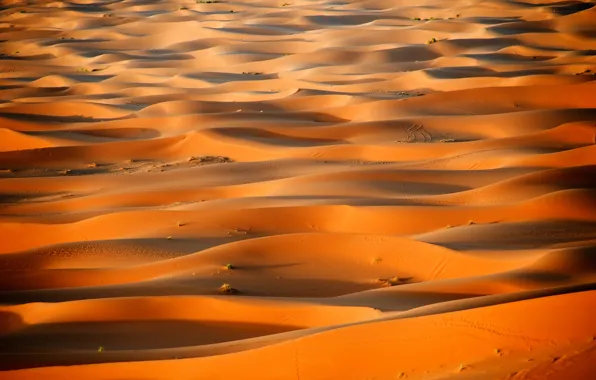 Обои дюны, Африка, пустыня, Марокко, Сахара