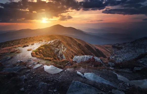 Обои горы, Говерла, Украина, облака, солнце, небо, трава, Карпаты, камни, вершина