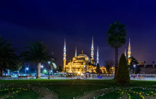 Обои пальмы, мечеть, город, храм, Istanbul, собор, монастырь, ночь, Турция, фото, газон
