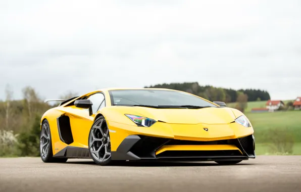 Обои Lamborghini, ламборгини, yellow, Novitec Torado, tuning, Aventador, LP 750-4, car, авто
