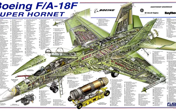Обои F/A-18F, Super Hornet, чертеж, детали, Boeing