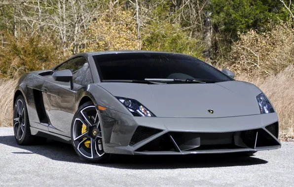 Обои Lamborghini, US-spec, Gallardo, ламборджини, 2013, галлардо, LP 560-4