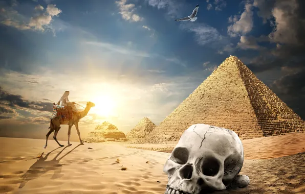 Обои облака, небо, солнце, кочевник, череп, птица, песок, пустыня, Египет, бедуин, Cairo, пирамиды, верблюд
