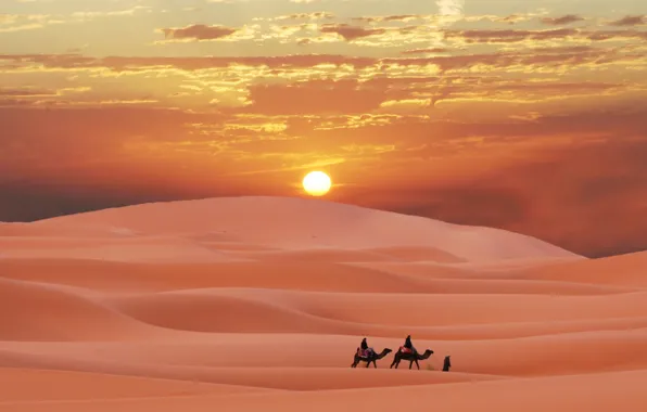 Обои caravan in Sahara, берберы, Morocco, berber, пустыня, Марокко, пески, Сахара, desert, караван
