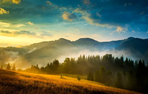 Обои леса, Карпаты, небо, Украина, облака, туман, горы, поля