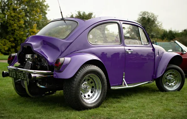 Обои Volkswagen, жук, VW Beetle, 1971