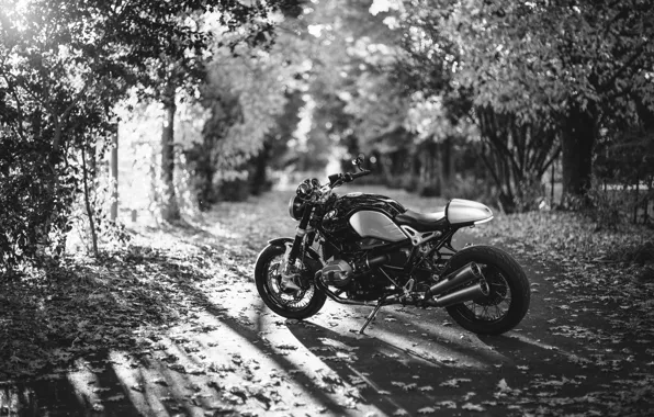 Обои солнце, осень, дорога, деревья, мотоцикл, BMW, листья