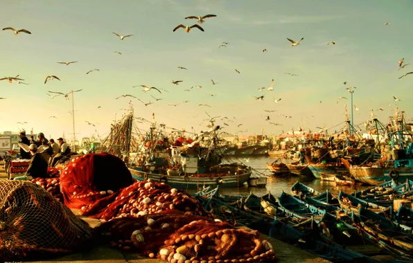Обои утро, рыбацие, Эс-Сувейра, Марокко, порт, сети, птицы, лодки, рыбаки, чайки