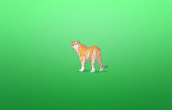 Обои минимализм, животное, тигр, зеленоватый фон, tiger, хитрая морда