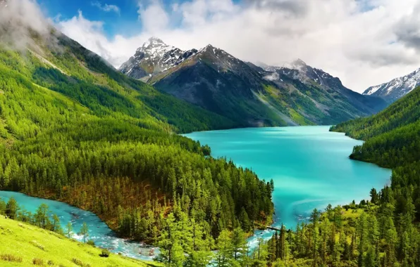 Обои лес, горы, Кучерлинское озеро, Горный Алтай, Россия