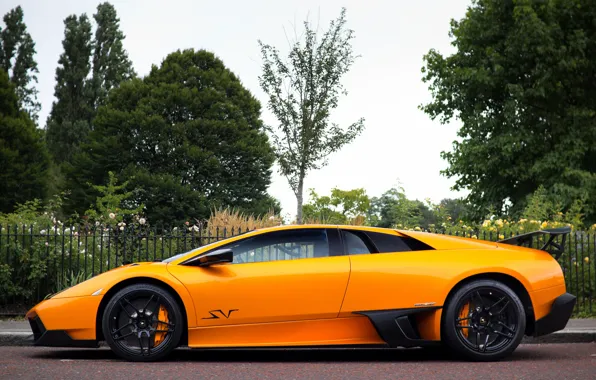 Обои оранжевый, Lamborghini, Murcielago, orange, LP670-4, ламборгини