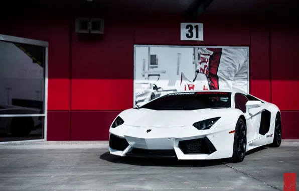 Обои белый, Lamborghini, суперкар, Aventador, ламборгини, авентадор