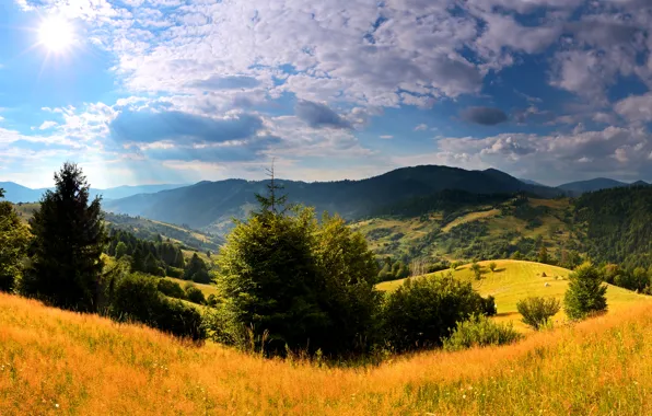 Обои красота, луга, поля, горы, Украина, деревья, облака, солнце, небо, трава, Карпаты, леса