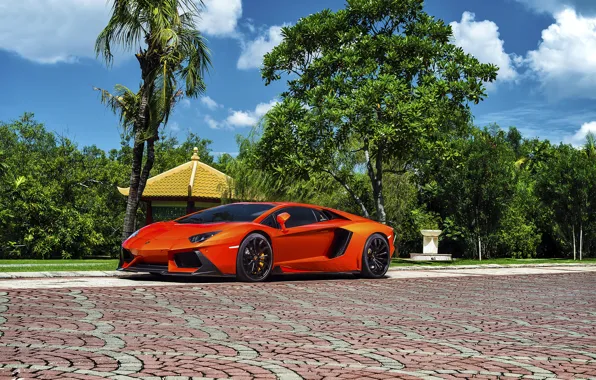 Обои Lamborghini, Orange, Front, Vorsteiner, Colored, Supercar, Exotic, Zaragoza, Aventador-V, LP740-4, Brightly