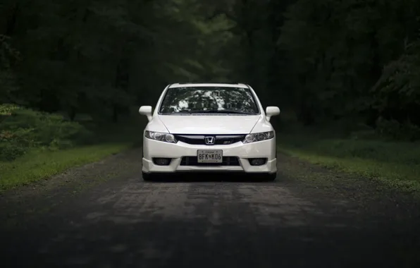 Обои спереди, Civic, стекло, отражение, дорога, Honda, фары, зеркало, лес