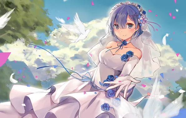 Обои anime, свадебное платье, Re: Zero kara Hajimeru Isekai Seikatsu, фата, art, голуби, Rem