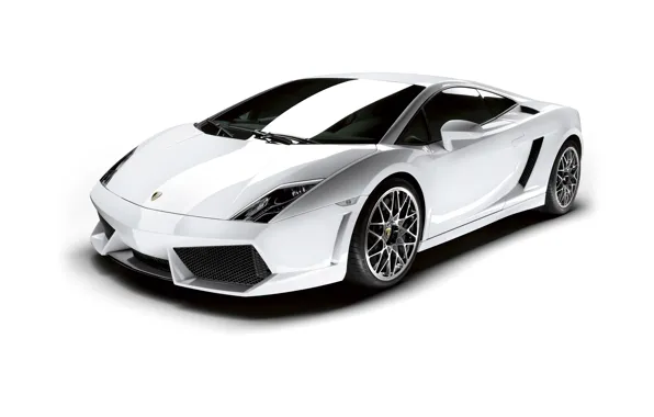 Обои Lamborghini, белый фон, Gallardo, ламборгини, галлардо