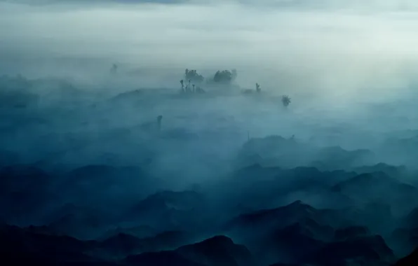 Обои туман, деревья, горы