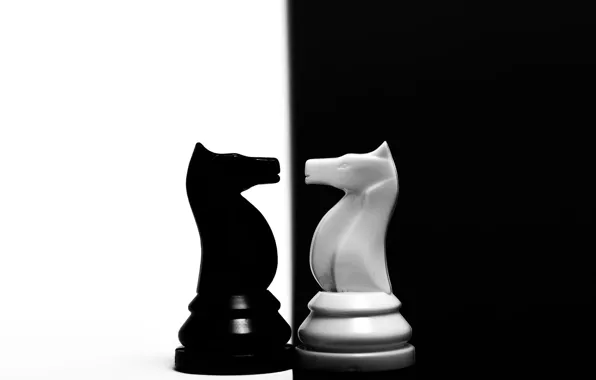 Обои фигура, контраст, конь, шахматы