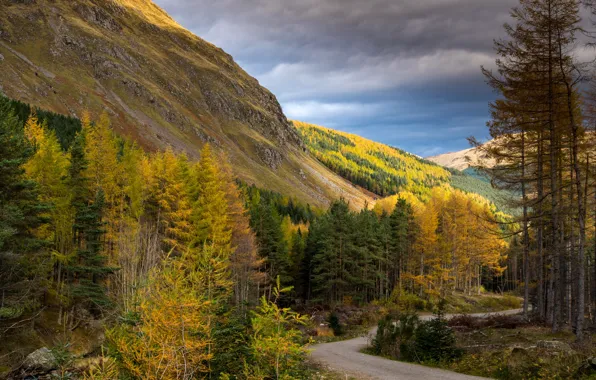 Обои горы, дорога, деревья, Cairngorms National Park, Шотландия, скалы, осень, лес