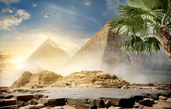 Обои солнце, пирамиды, Египет, пустыня, фотошоп, облака, верблюды, птица, пальма, Cairo, небо, камни