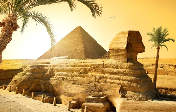 Обои камни, солнце, птица, сфинкс, пустыня, пирамида, Египет, пальмы, Cairo