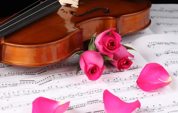 Обои ноты, скрипка, розы