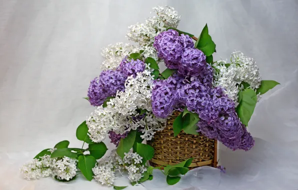 Обои цветы, красота, ваза, букеты, флора, букетик, натюрморт, дом, сирень, сиреневый цвет, май, весна