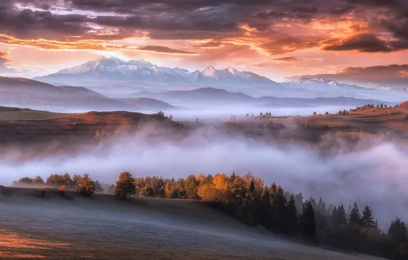 Обои горы, осень, Карпаты, утро, туман