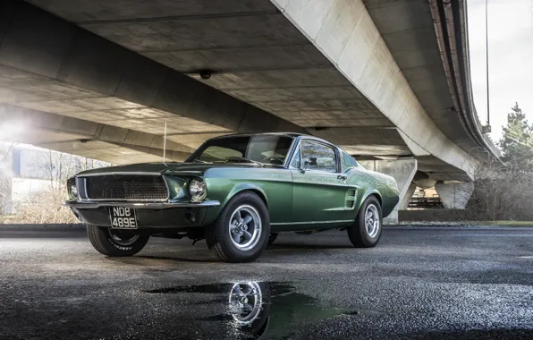 Обои Ford, Mustang, 1968, асфальт, GT 390, Bullitt, лужи