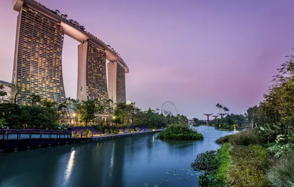Обои деревья, огни, пруд, парк, вечер, фонари, Сингапур, небоскрёбы, кусты, сады, Gardens by the Bay