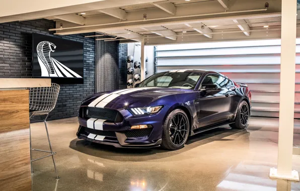Обои Ford, Mustang, 2019, GT350, Shelby