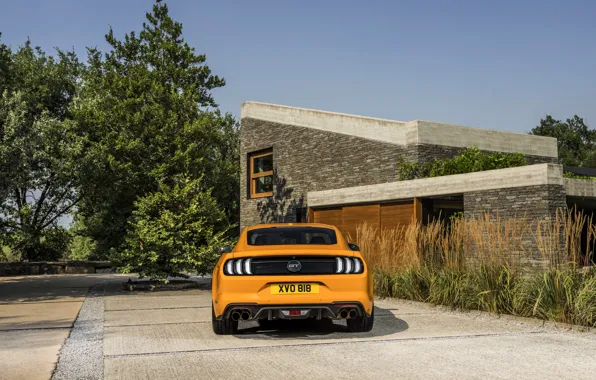 Обои Ford, 2018, стоянка, фастбэк, Mustang GT 5.0, корма, оранжевый