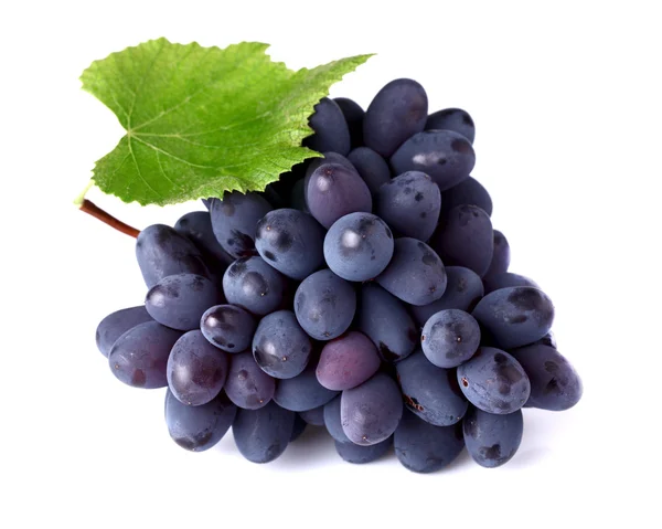 Спелый виноград с листьями — стоковое фото