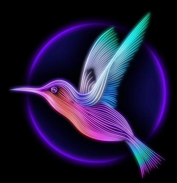 3d render of colibri bird - hummingbird — стоковое фото