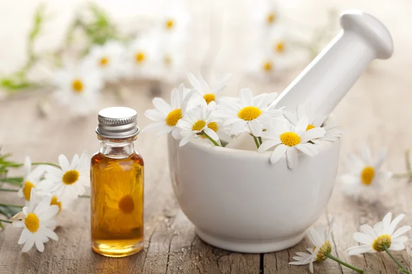 Эфирное масло и цветы ромашки в раствор — стоковое фото