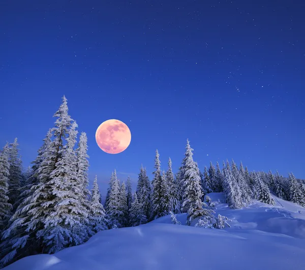 Полная Луна в зимний период — стоковое фото