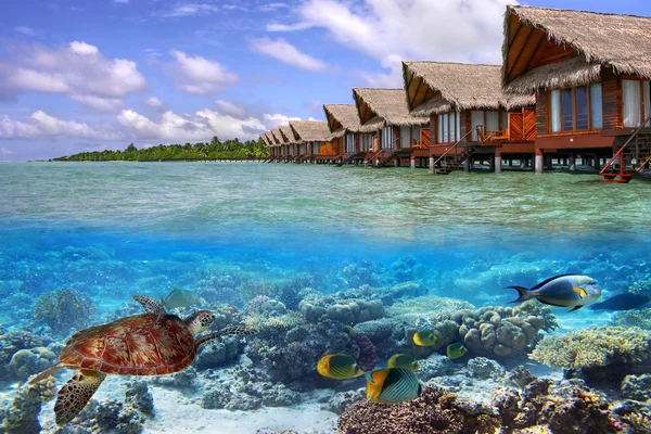 Тропические воды Мальдивы — стоковое фото