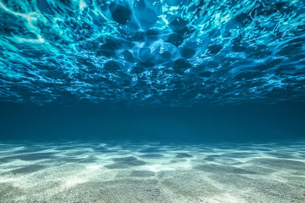 Морское дно, вид под поверхностью — стоковое фото