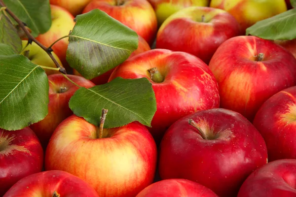 Сочные красные яблоки с зелеными листьями, крупным планом — стоковое фото