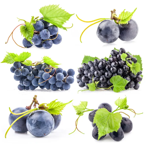 Коллекции темного винограда — стоковое фото