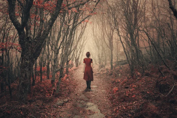 Женщина и туманные леса — стоковое фото