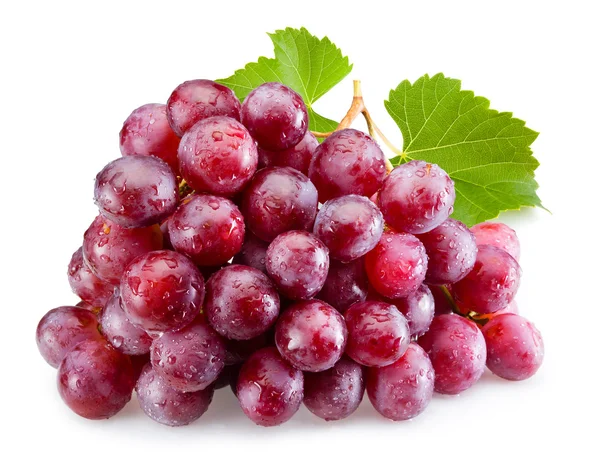 Спелые красного винограда с листьями изолированные — стоковое фото