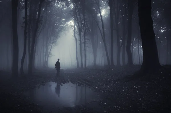 Человек на краю озера в темный лес в тумане — стоковое фото