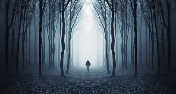 Человек идет в таинственный лес сюрреалистический с туманом — стоковое фото
