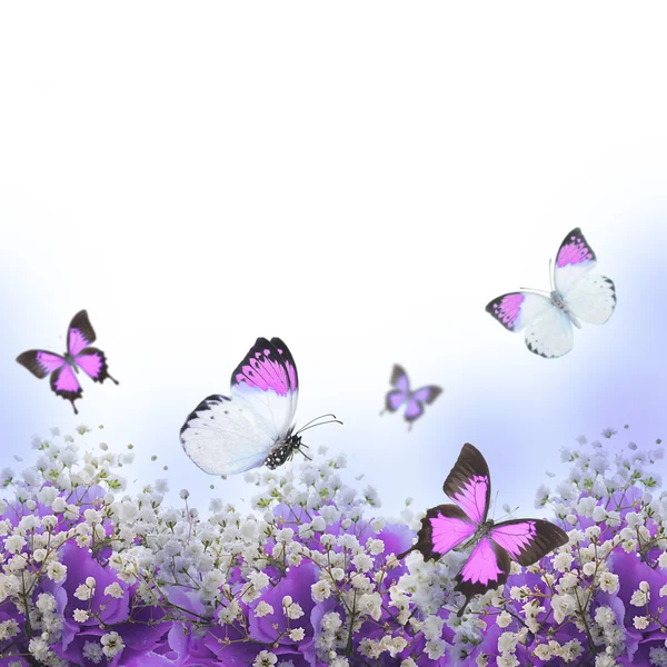 Цветы в букет, голубые гортензии и бабочка — стоковое фото