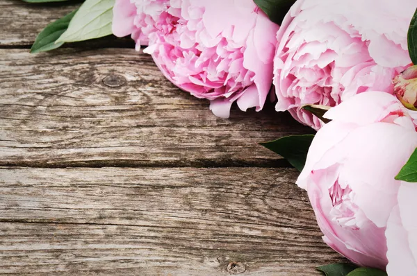 Цветочная рамка с Розовые пионы — стоковое фото